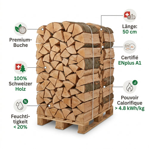 AGROLA Brennholz Premium-Buche 50 cm – Palette (~600 kg)